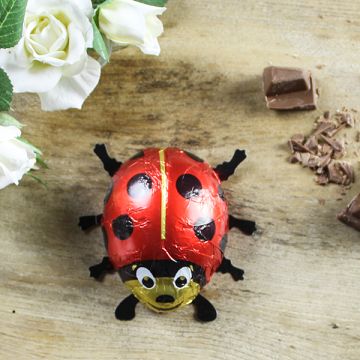 Baur Giant Chocolate Ladybirds 45g