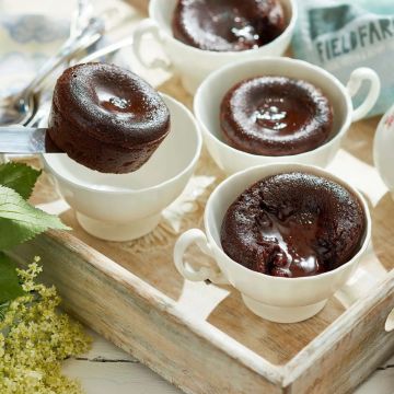 Fieldfare Chocolate Fondant