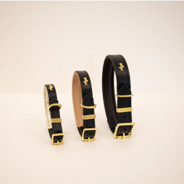 Storeys & Tails Padded Luxury Leather Dog Collar Black