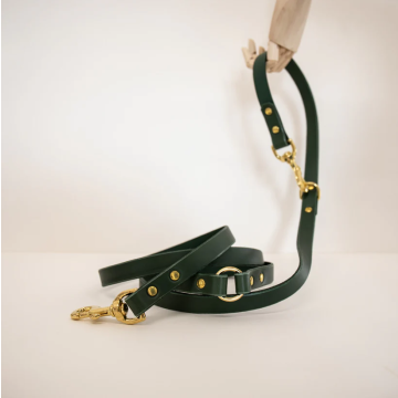 Storeys & Tails Padded Luxury Leather Adjustable Dog Lead Forest One Size