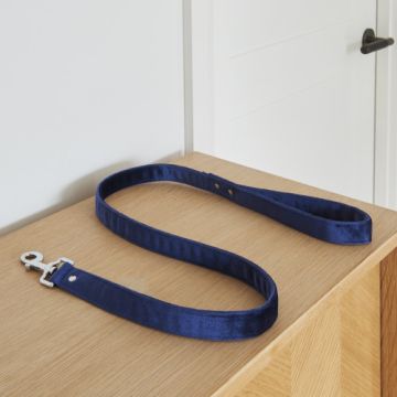 Sweet William Velvet Lead (Navy) One Size