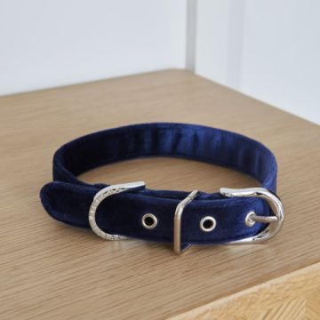 Sweet William Velvet Collar (Navy) Size Small