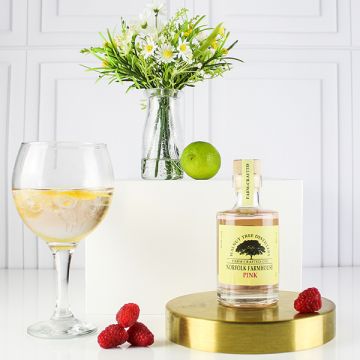 Walnut Tree Farmhouse Pink Gin 20cl