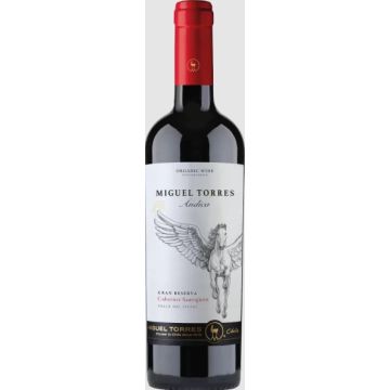 Andica Cabernet Sauvignon 75cl