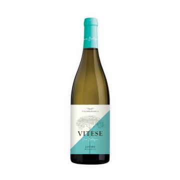 Zibibbo 'Vitese,' Sicily, Colomba Bianca 2022 75cl